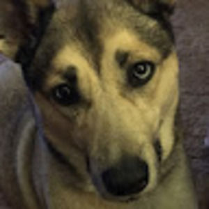 Meet your Posher, Mary jane